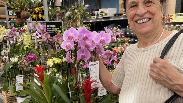 Dorina choosing orchids at the garden center