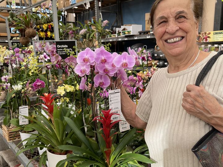 Orchid shopping — pure joy
